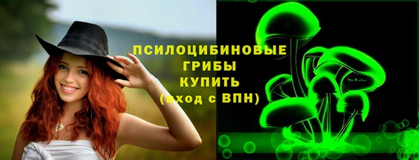 прущие крисы Саяногорск