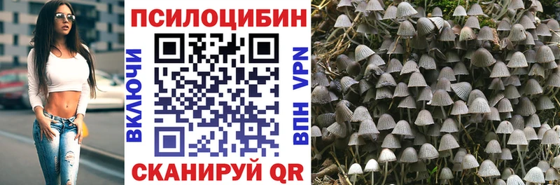 Галлюциногенные грибы Psilocybe Купить Колпашево